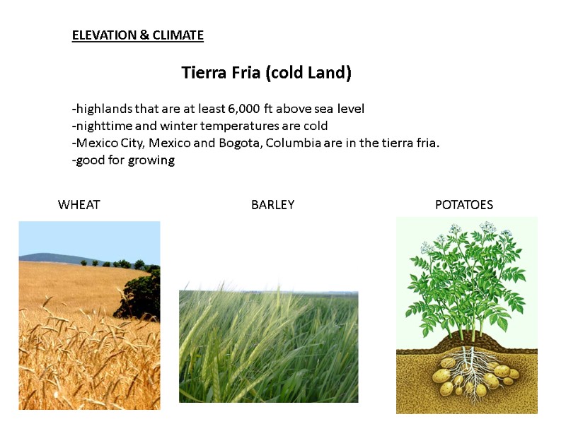 ELEVATION & CLIMATE  Tierra Fria (cold Land)   -highlands that are at